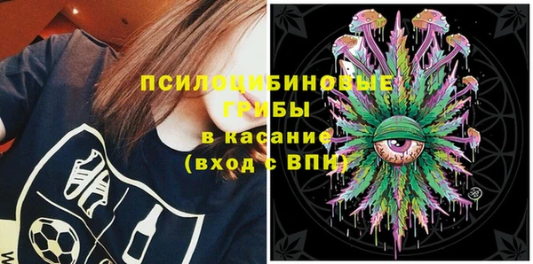 гидра Аркадак