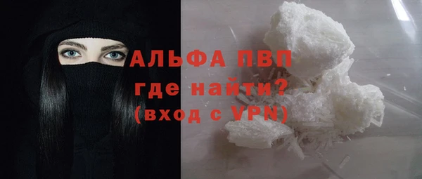 гидра Аркадак