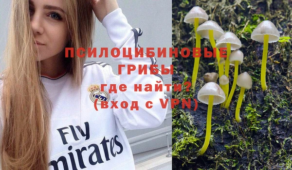 соль курить ск Арсеньев