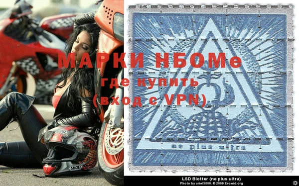 гидра Аркадак