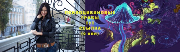 соль курить ск Арсеньев