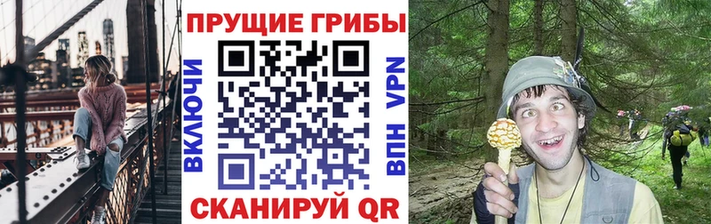 сколько стоит  Баймак  Псилоцибиновые грибы мицелий 